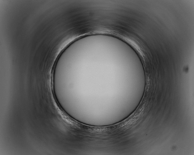 X0000100941047200806241157
