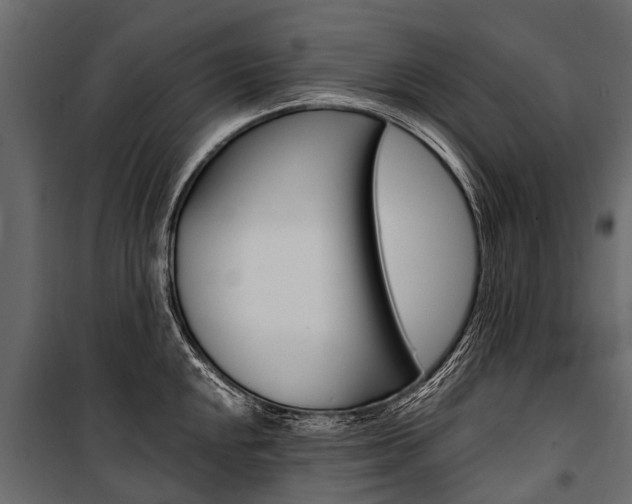 X0000100941048200806241157