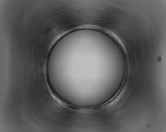 X0000100941049200806241157