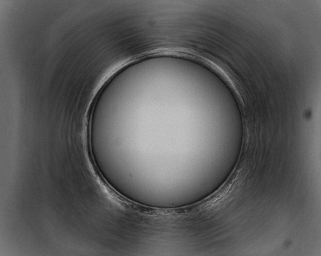 X0000100941050200806241157
