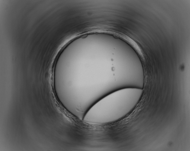 X0000100941051200806241157