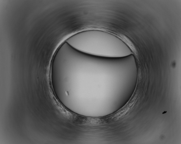X0000100941052200806241157