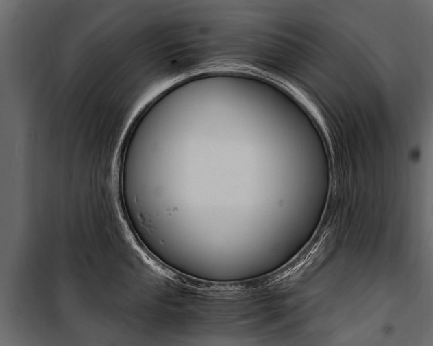 X0000100941053200806241157
