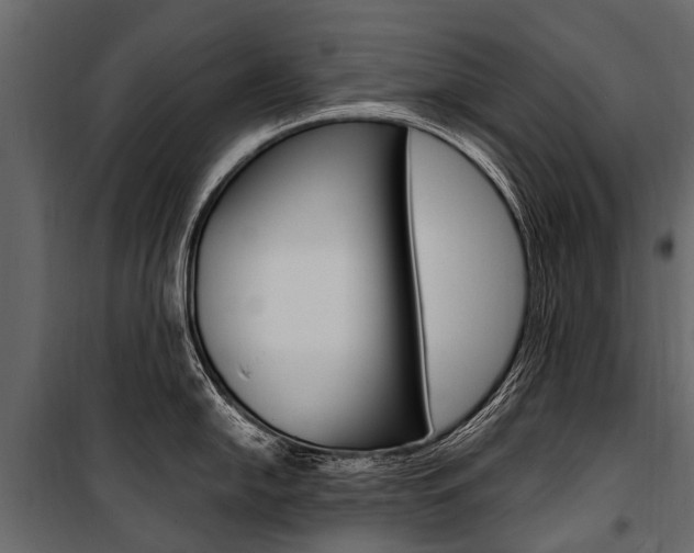 X0000100941054200806241157
