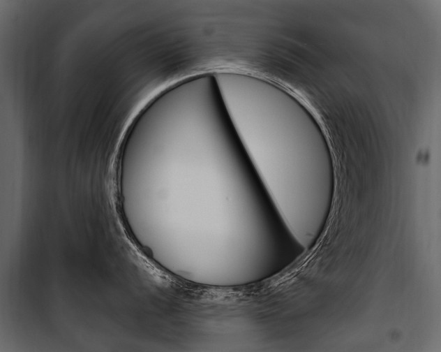 X0000100941056200806241157
