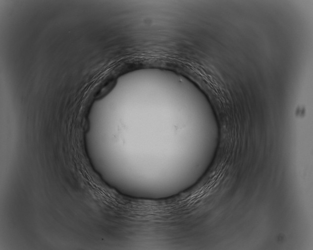 X0000100941057200806241157