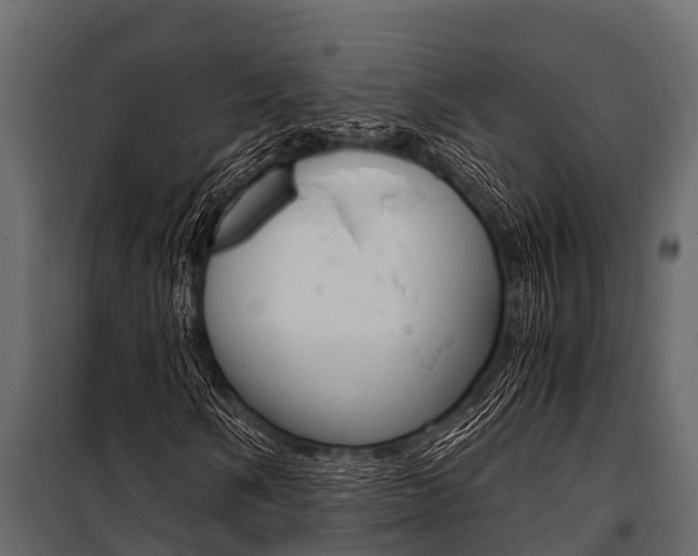 X0000100941058200806241157