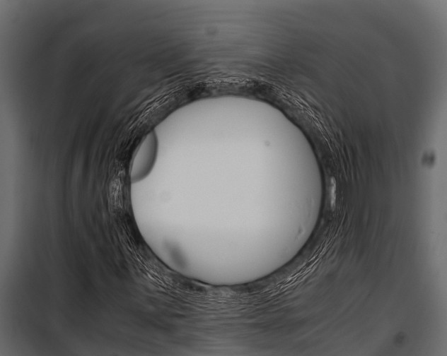 X0000100941059200806241157