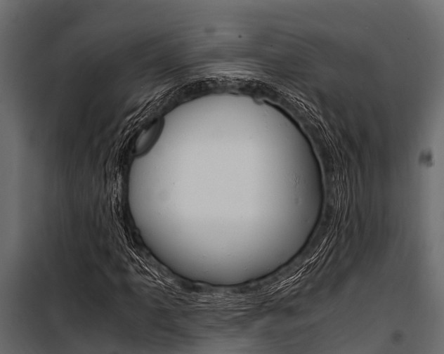 X0000100941061200806241157