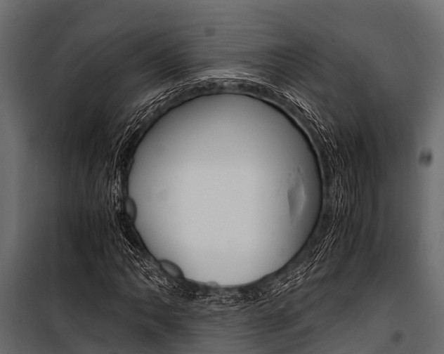 X0000100941062200806241157