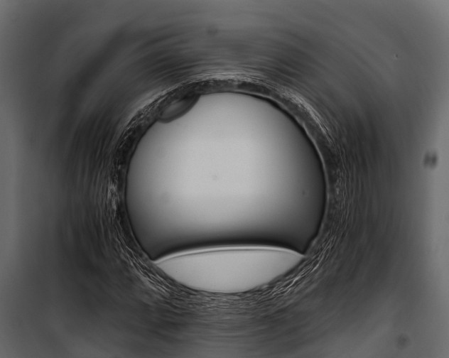 X0000100941064200806241157