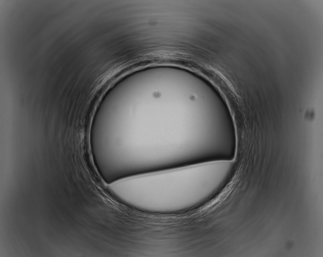 X0000100941065200806241157