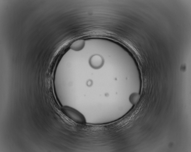 X0000100941067200806241156