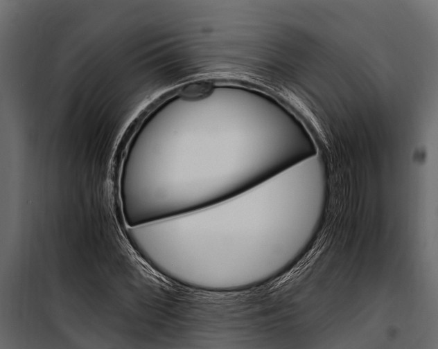 X0000100941068200806241156