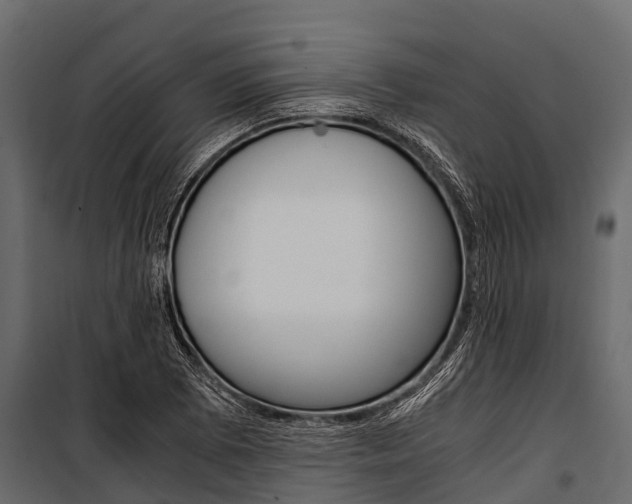 X0000100941073200806241156