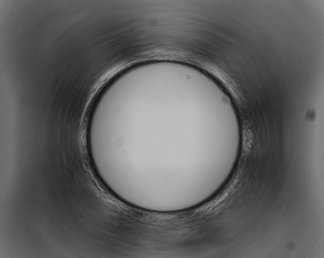 X0000100941074200806241156