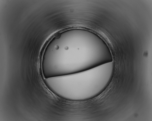 X0000100941076200806241156