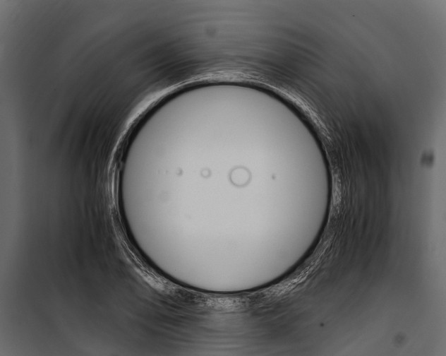 X0000100941078200806241156