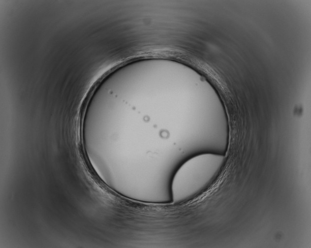 X0000100941079200806241156