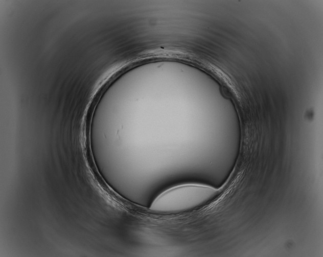 X0000100941082200806241156