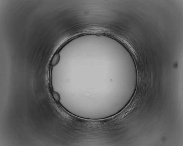 X0000100941083200806241156