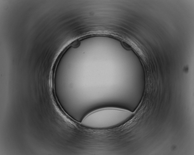 X0000100941084200806241156