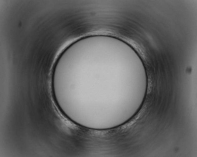 X0000100941086200806241156