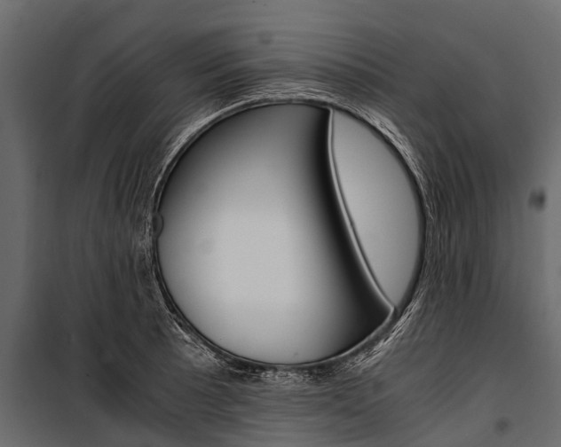 X0000100941089200806241156