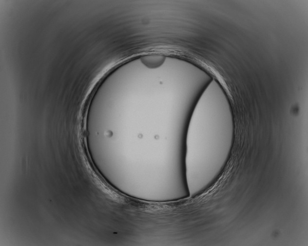 X0000100941091200806241156