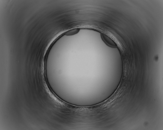 X0000100941092200806241156