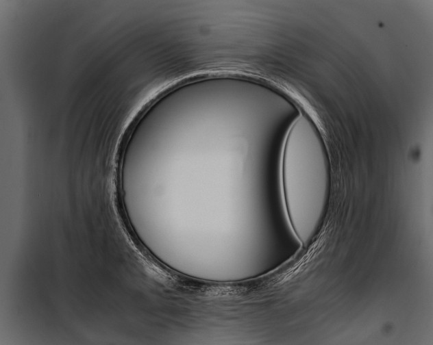 X0000100941093200806241156