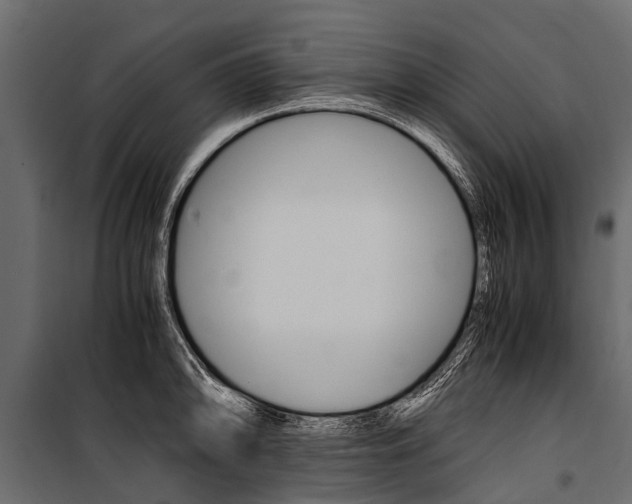 X0000100941094200806241156