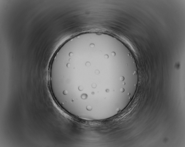 X0000100941095200806241156