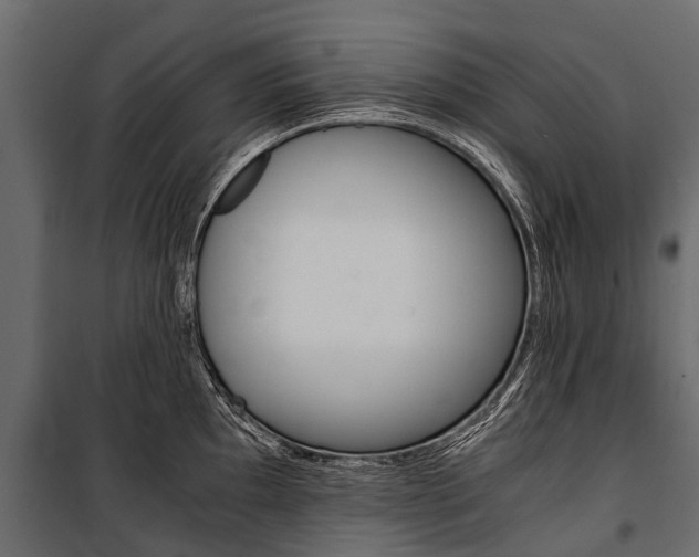 X0000100941097200806241156