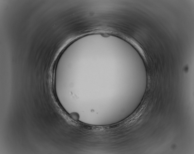X0000100941099200806241156
