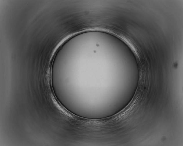 X0000100941100200806241156