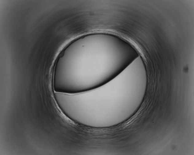 X0000100941102200806241156