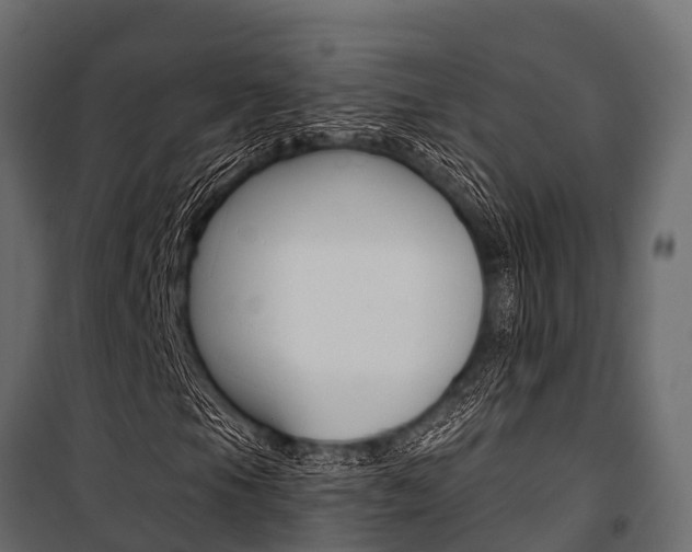 X0000100941105200806241155