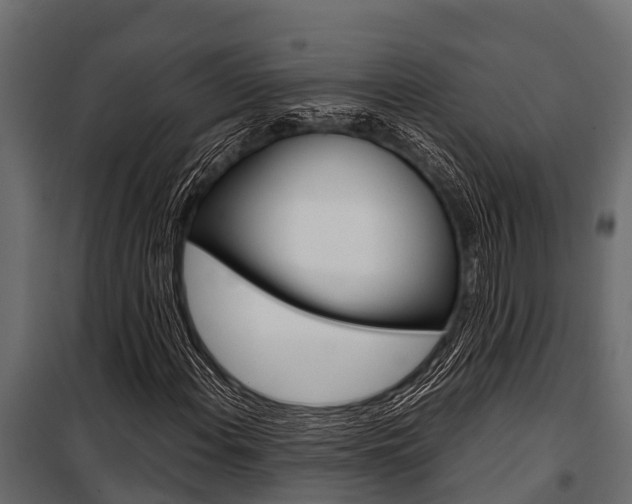 X0000100941108200806241155