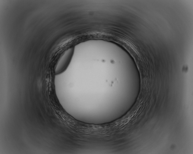 X0000100941111200806241155