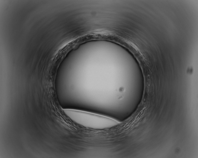 X0000100941112200806241155