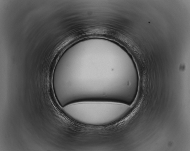 X0000100941113200806241155