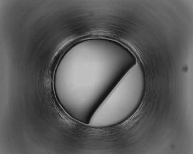 X0000100941115200806241155