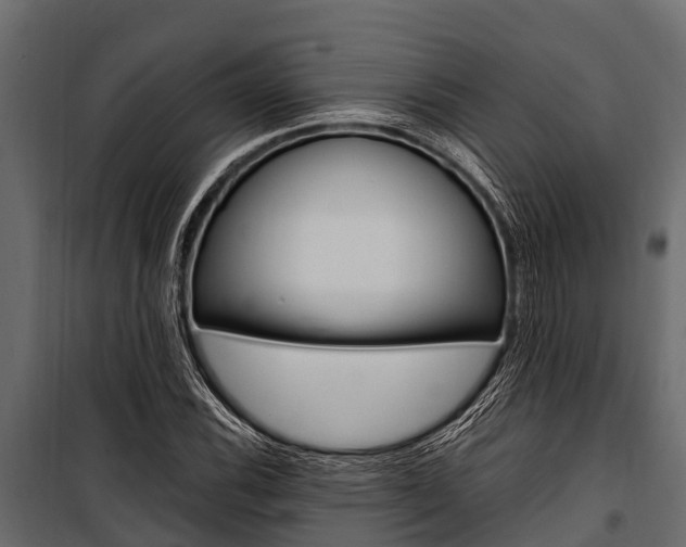 X0000100941116200806241155