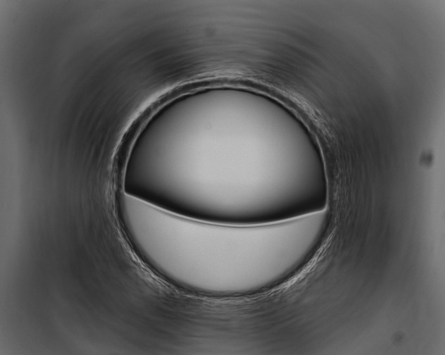 X0000100941118200806241155