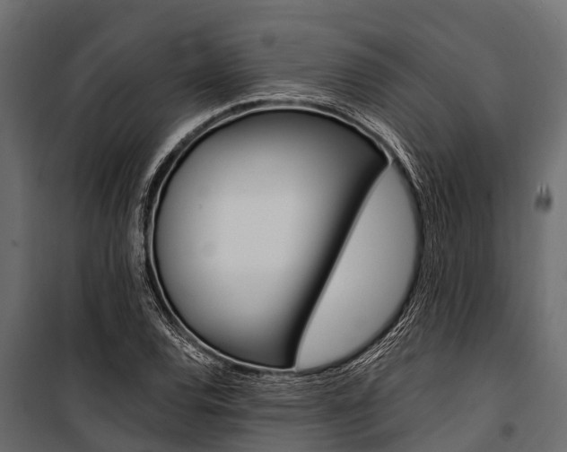 X0000100941120200806241155
