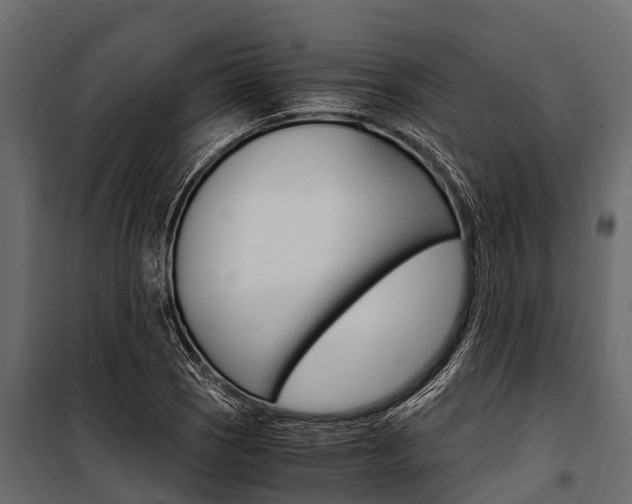 X0000100941121200806241155