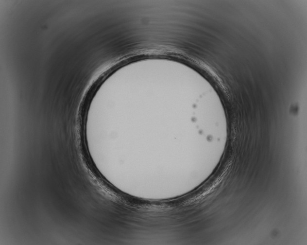 X0000100941122200806241155