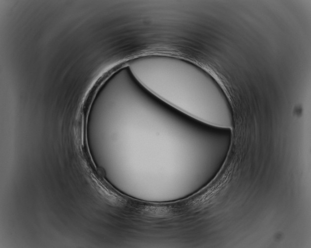 X0000100941123200806241155