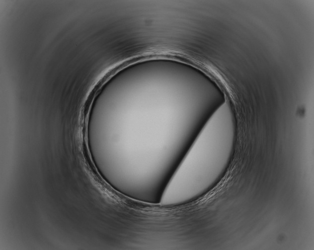 X0000100941124200806241155